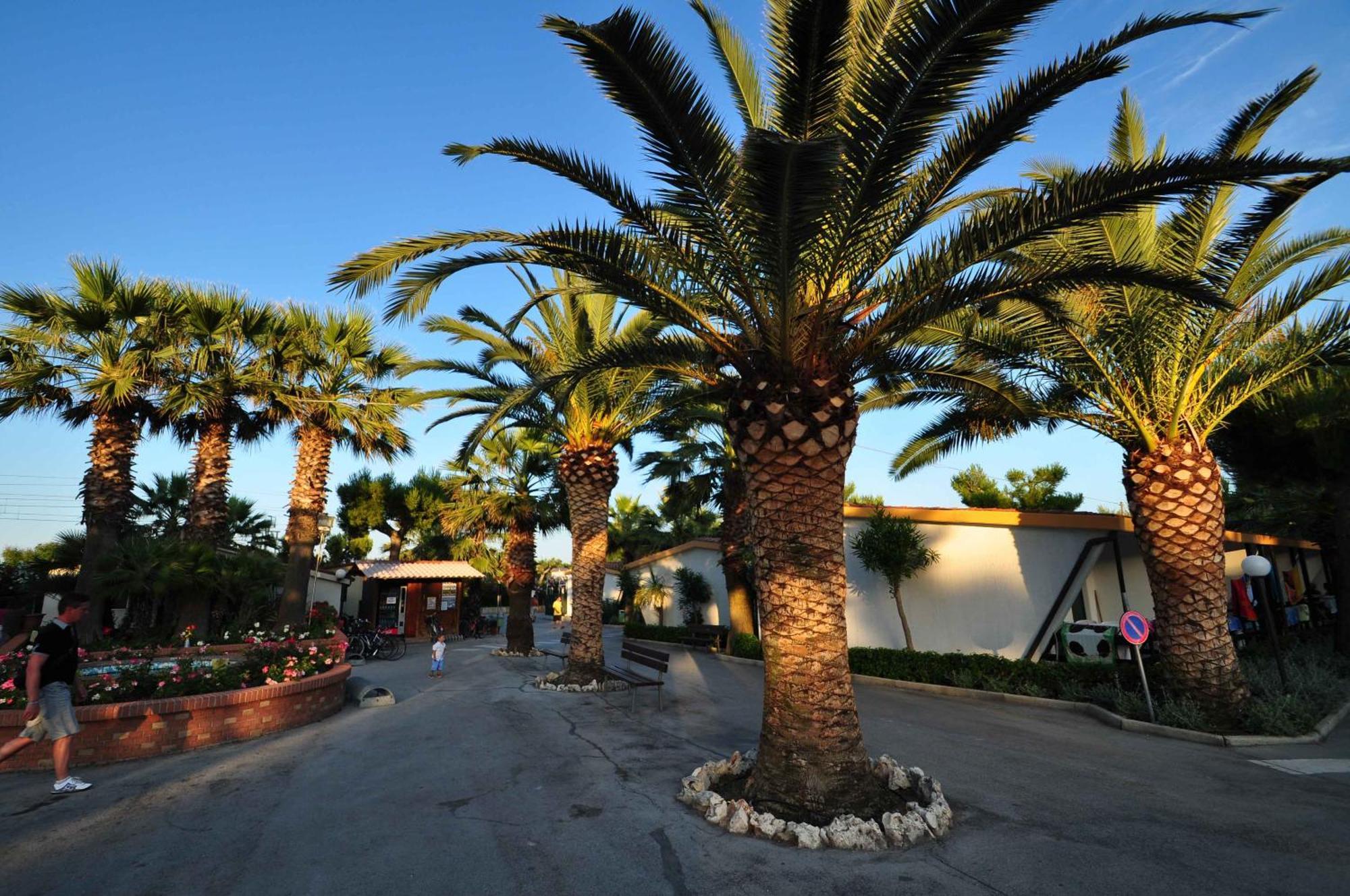 Camping Villaggio Calypso كوبرا ماريتيما المظهر الخارجي الصورة